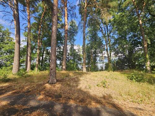 Flurstück 2 - Grundstück in Bad Saarow zum Kaufen