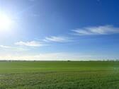 Das Feld in Sichtnähe - 