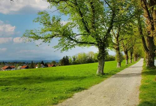 wenige Minuten zur Lindenallee - 