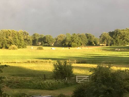 IMG-20260119-WA0000.jpg - 