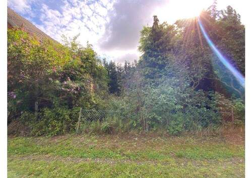 Vorgarten Straßenseite - 