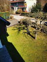 Blick in den Vorgarten - 