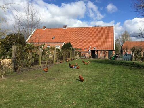Bild - 