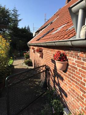 Bild - 