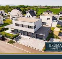 BRUMANI | Exklusives Einfamilienhaus im Bauhausstil im Elsass (F) sofort Verfügbar! - Breisach am Rhein