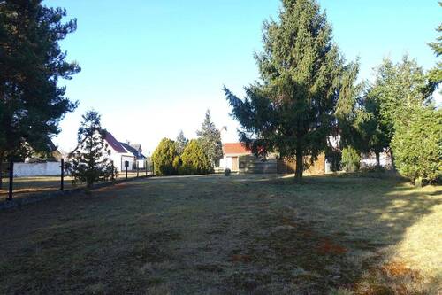 Blick aus dem Garten - 