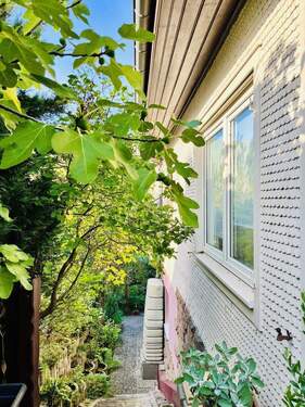 Seitenansicht - 6 Zimmer Mehrfamilienhaus, Wohnhaus zum Kaufen in Neuenbürg