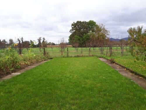 Unbebautes Grundstück - 