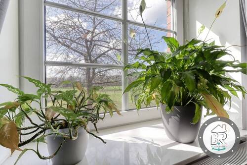 ... und wieder diesem herrlichen Ausblick ins Grüne - 