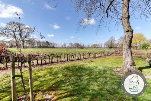 Traumhafter Garten mit freiem Blick über Wiesen und Felder - 