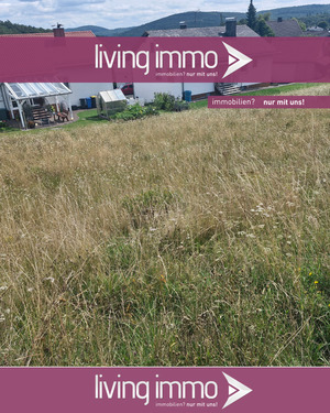 Ansicht Straße - Grundstück zum Kaufen in Bad Endbach