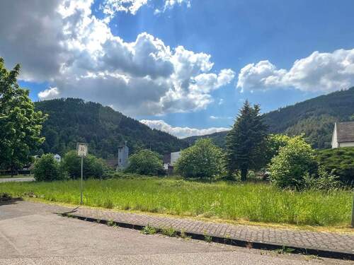 Ohne Keller bebaubar - sehr ebenes Grundstück - Grundstück zum Kaufen in Datzeroth