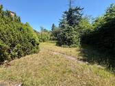 Garten vor dem Haus - 