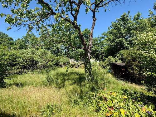 Garten hinter dem Haus - 
