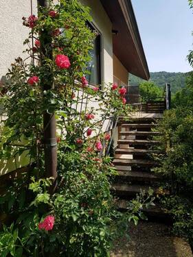 Aufgang Balkon - 