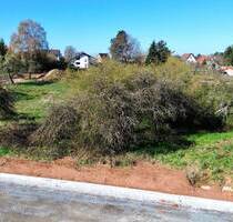 KL-Morlautern - Baugrundstück Neubaugebiet Kalckreuthstr.Neue Straße - Kaiserslautern