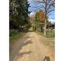 Top ruhige Lage, nur 2,5 km vom Bahnhof Wilhelmshorst entfernt! - Michendorf Bergheide