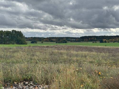 Umgebung - Grundstück in Michendorf zum Kaufen