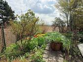 IMG_6060 - 