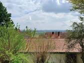 IMG_6062 - 