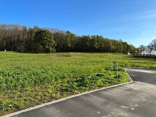 PHOTO-2022-11-18-13-20-33 8.jpg - Grundstück zum Kaufen in Großweitzschen