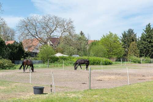Am_Reitplatz_Dallgow-Döberitz - 
