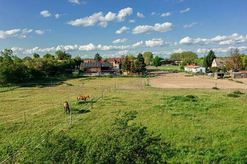 Am_Reitplatz - 