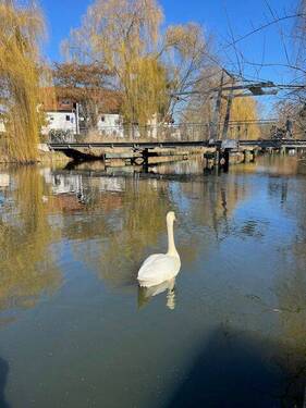 Nottekanal - 