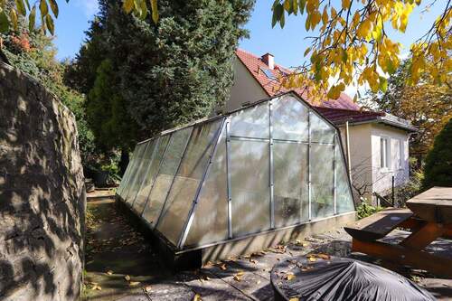 Gewächshaus - 