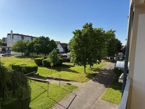 WhatsApp Image 2025-05-15 at 13.11.31 (3).jpeg - 