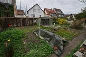 Gemüsegarten - 