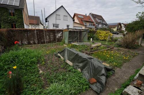Gemüsegarten - 