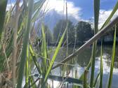 Bild10 - 