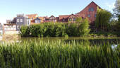 Bild7 - 