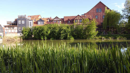 Bild7 - 