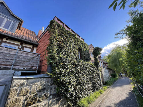 Bild8 - 
