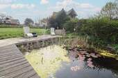 Gartenteich - 
