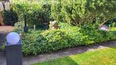 IMG-20250505-WA0019 - 