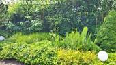 IMG-20250505-WA0017 - 