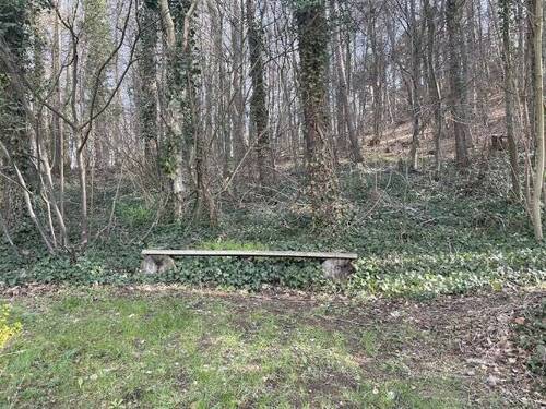 Bild4 - Grundstück in Blankenburg zum Kaufen