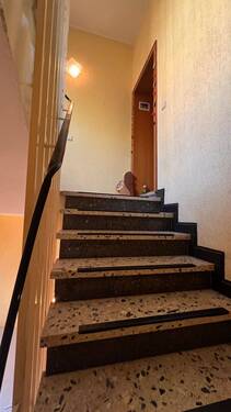 IMG_4465.jpeg - 