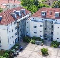 Helle Erdgeschosswohnung mit großzügiger Terrasse! - Dresden Strehlen
