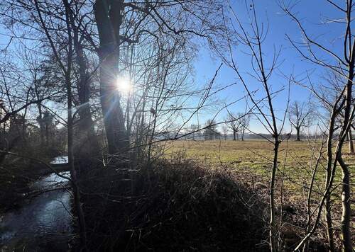 Reigersbach_Blütenanger - 