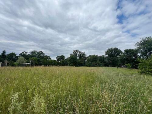 Bild 4 - Grundstück in Neu-Seeland