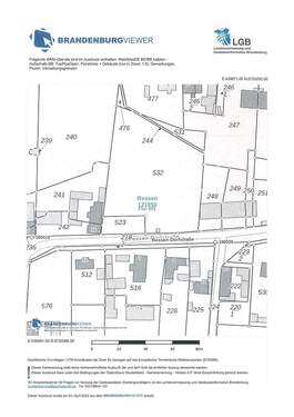 BG11971-intern39#Flurkartenauszug - 