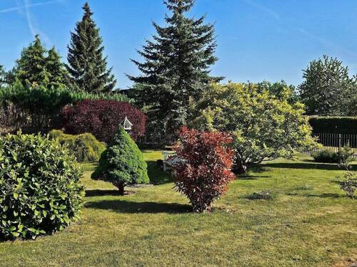 Der Vorgarten.jpg - Einfamilienhaus mit 126,00 m² in Butzow zum Kaufen