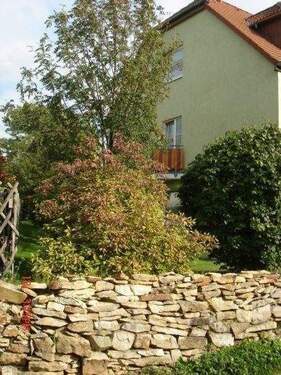 Trockenmauer - 2 Zimmer Etagenwohnung zur Miete in Dresden