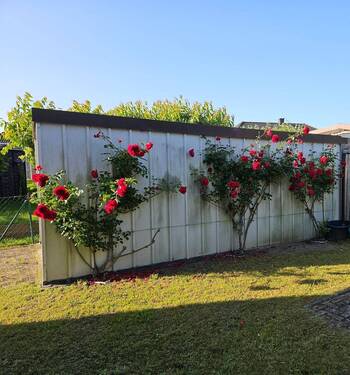 Garage, Seitenansicht.jpg - 