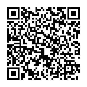 QR-Code - 