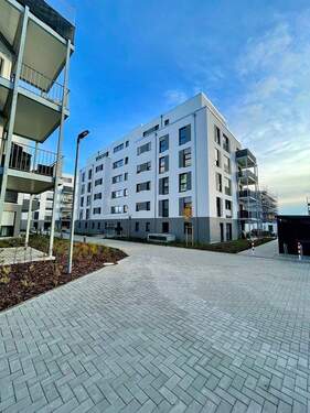 Vincent-van-Gogh-Ring 65 - Voderseite - 